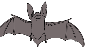 [bat]