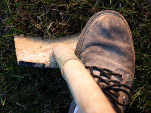 [stock image of a shovel being used to break ground]